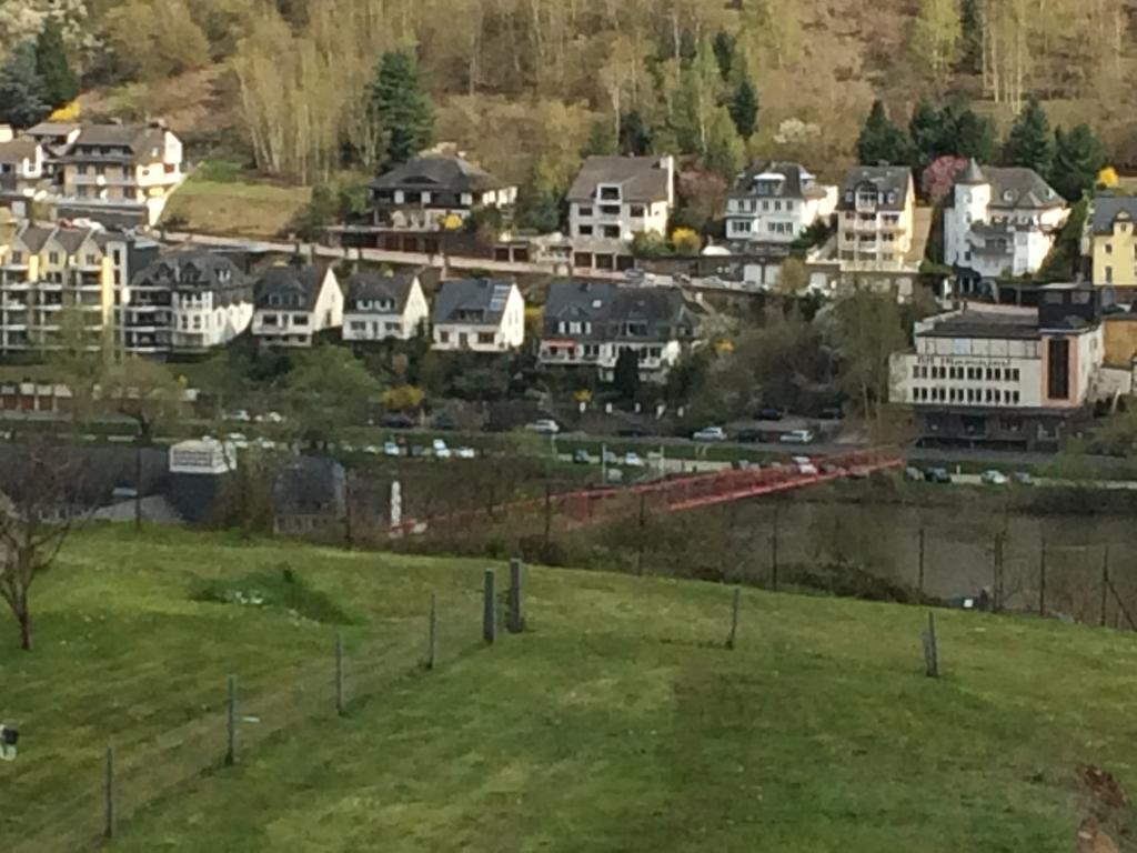 Stadtblick Cochem Bagian luar foto