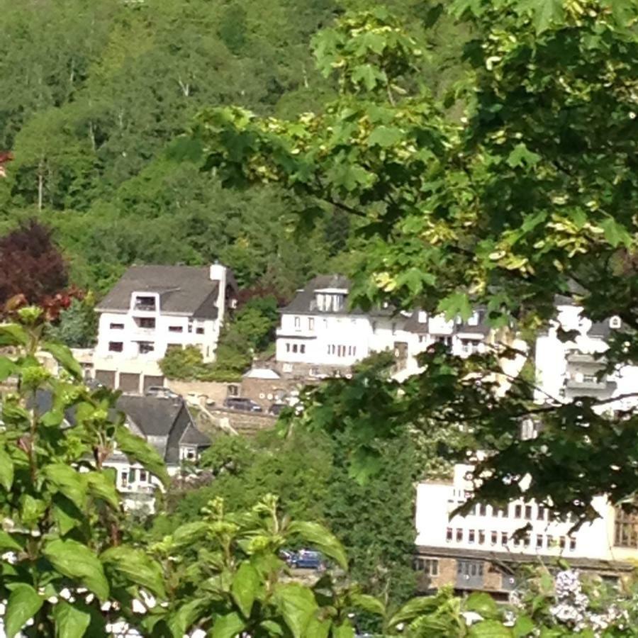 Stadtblick Cochem Bagian luar foto